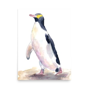Yellow Eyed Penguin / NZ birds illustration / Hoiho / New Zealand Print / New Zealand art / New Zealand birds