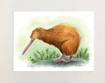 Kiwi Bird Art Print | NZ Bird | original watercolor painting | illustration | New Zealand | NZ bird art | native bird | kiwiana