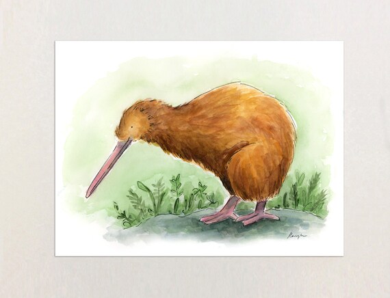 Kiwi Bird Art Print NZ Bird Original Watercolor Painting | Etsy