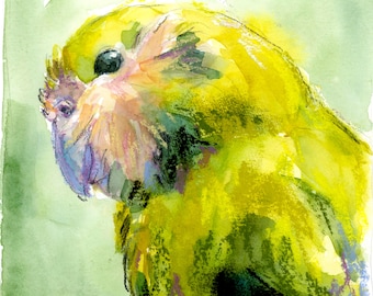 Kākāpō konsttryck