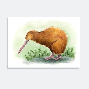 Kiwi Bird Art Print | NZ Bird | original watercolor painting | illustration | New Zealand | NZ bird art | native bird | kiwiana