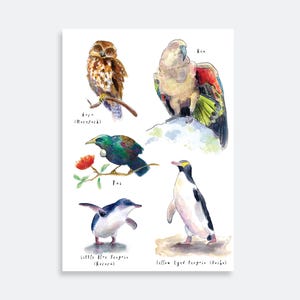 Birds of New Zealand print #2 / New Zealand birds / kea / kiwi / owl / tui / little blue penguin / yellow eyed penguin / ruru / kiwiana