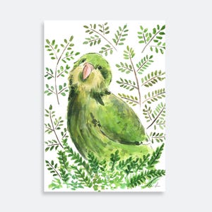 Kakapo Watercolor Print | NZ Bird | original painting | illustration | parrot print / tropical bird art / native bird / New Zealand