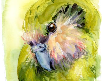 Kākāpō konsttryck