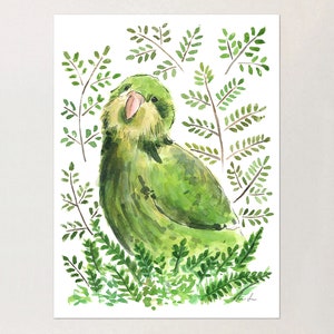 Kakapo Watercolor Print | NZ Bird | original painting | illustration | parrot print / tropical bird art / native bird / New Zealand