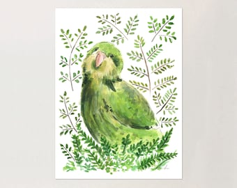 Kakapo Aquarell Druck | NZ Vogel | Originalmalerei | Illustration | Papageien Print / tropische Vogel Kunst / Eingeborener Neuseeland