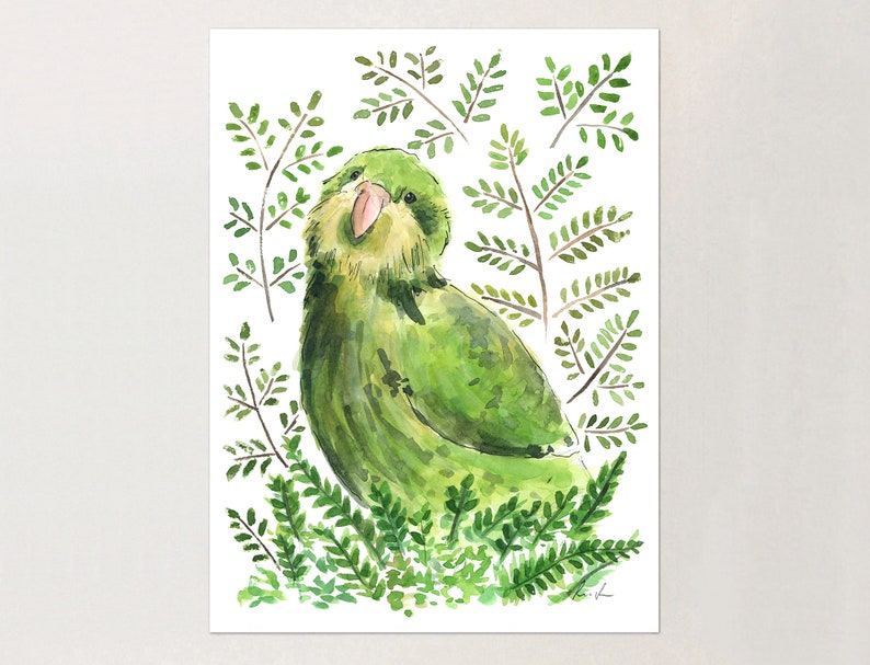 Kakapo Watercolor Print NZ Bird original painting illustration parrot print / tropical bird art / native bird / New Zealand image 1