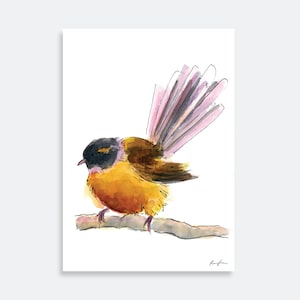 Fantail Watercolor Print | NZ Bird | original painting | illustration | piwakawaka / native bird / New Zealand / nz birds prints