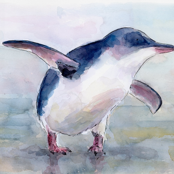 Little Blue Penguin / NZ birds illustration / Kororā / New Zealand Print / New Zealand art / New Zealand birds /