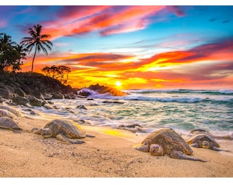 May include: Four sea turtles rest on a sandy beach at sunset. The sky is a vibrant mix of orange, pink, and blue. The ocean waves are turquoise and white.