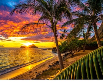 Hawaiian Sunrise with Island and Palm Trees in Waimanalo photo printed on Aluminum Metal or Canvas titled "Ziggy"