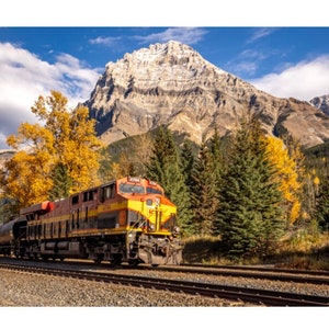 May include: A red and yellow freight train travels through a mountain pass with a snow-capped peak in the background. The train is traveling on a set of tracks with trees and fall foliage on either side.