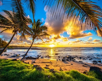 Può includere: Una scena di spiaggia tropicale con palme in silhouette contro un tramonto vibrante. Il cielo è un mix di blu, arancione e giallo, con nuvole soffici. L'oceano è di un blu profondo, che riflette la luce dorata del sole al tramonto. La spiaggia è sabbiosa e ci sono rocce sparse lungo la riva.