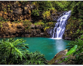 Scenic Hawaii Fine Art Print titled "Waimea Falls" on 5"x7", 8"x10", or 11"x14" White or Black Mat