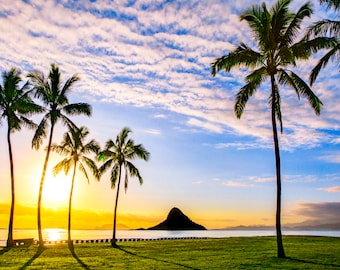 May include: A scenic view of a beach with palm trees silhouetted against a vibrant sunrise. A small island with a rocky peak is visible in the distance. The sky is a mix of blue and pink with fluffy white clouds.