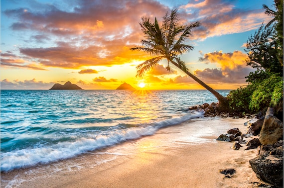 HWAIIANA the best of hawaiian deign写真集 Hawaiiana - The Best of Hawaiian Design — Art Blackburn
