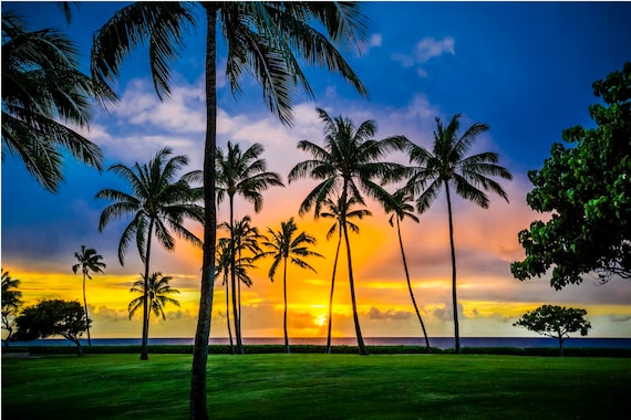 Ko Olina Sunset With Palm Trees in Hawaii Picture on Metal