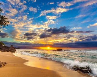 May include: A scenic view of a beach at sunset with a bright orange sun setting over the ocean. The beach is sandy and there are palm trees in the background. The sky is a mix of blue, orange, and purple.