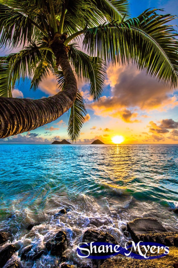 Hawaiian 名盤14枚セット Visit-Lahaina-Maui-Hawaii-