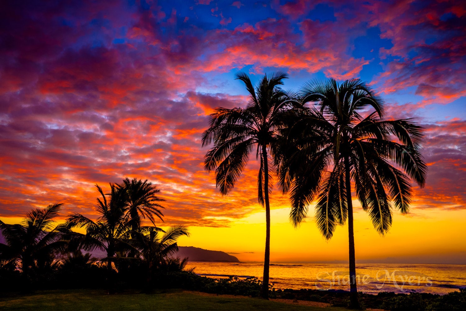 Aluminum/canvas Fine Art Image of Beautiful Hawaiian Sunset Titled