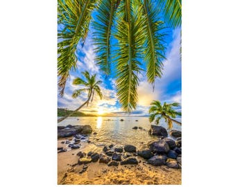 May include: A scenic beach landscape featuring palm trees, a sandy shore, and ocean waves under a blue sky with clouds. The sun sets on the horizon, reflecting on the water. Rocks are scattered on the beach.