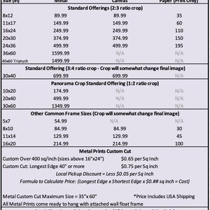 May include: A price chart for 2024 prints on metal, canvas, and paper. The chart lists different sizes and prices for each material. The chart also includes information about custom cut options and local pickup discounts.