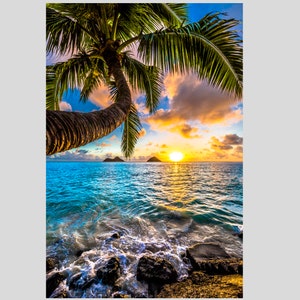 HWAIIANA the best of hawaiian deign写真集 VN023】Hawaiiana: The Best of Hawaiian Design /visual book