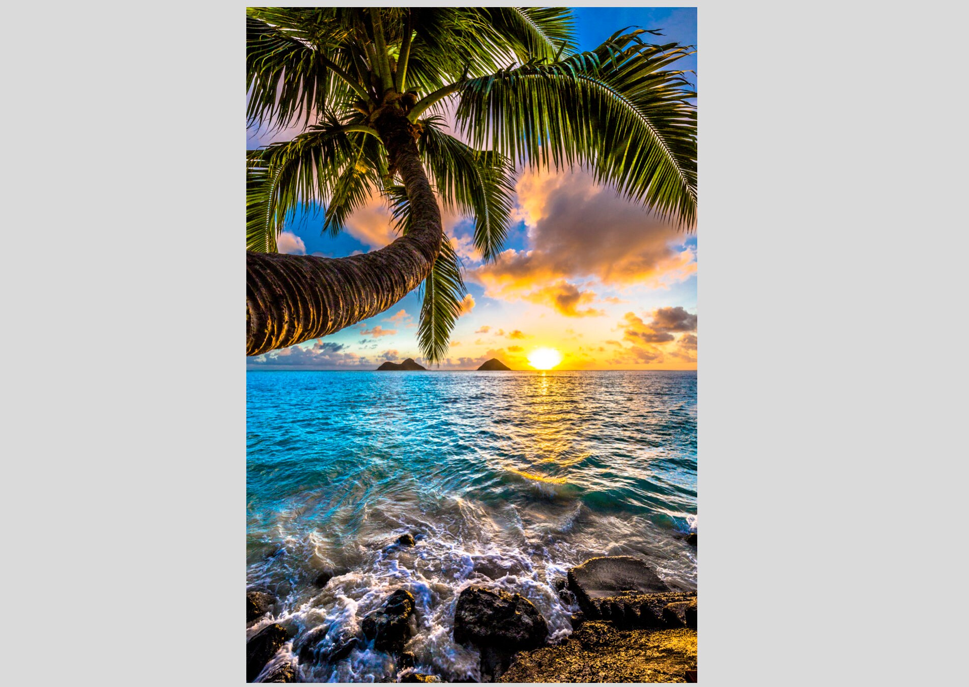 Hawaiian 名盤14枚セット Visit-Lahaina-Maui-Hawaii-