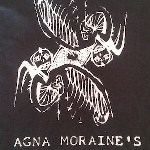 AGNA MORAINE&#39;S AUTOBIOGRAPHY hoodie (hardcore, screamo, emo band)