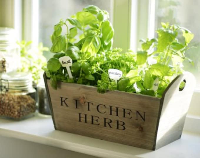 Kitchen Herb Garden Windowsill Planter With Seeds Etsy