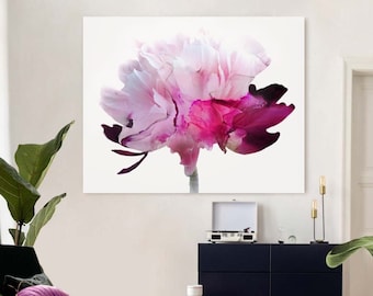 Translucent Pink Peony Print: Large White Floral Wall Art