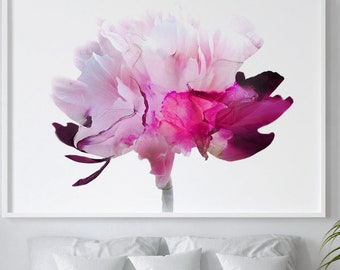 Translucent Peony Fine Art Print: Large Pink Floral Wall Art