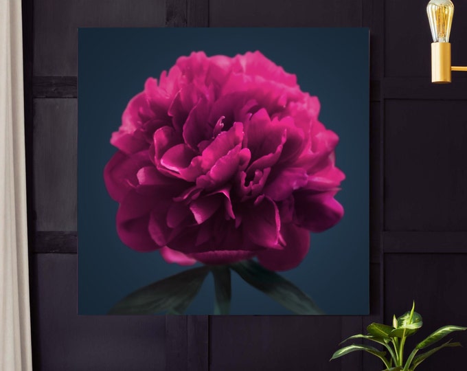 Magenta Peony Art Print: Rich Jewel Tone Floral Canvas
