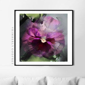 English Pansy Fine Art Photography Print, Muted Violet Pink Home Decor, Cottage Garden Wall Art, UK Artist