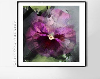 English Pansy Fine Art Photography Print, Muted Violet Pink Home Decor, Cottage Garden Wall Art, UK Artist