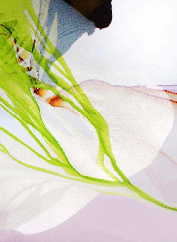 Green Abstract Floral Art Prints, Pastel Fronds, Modern Home Decor