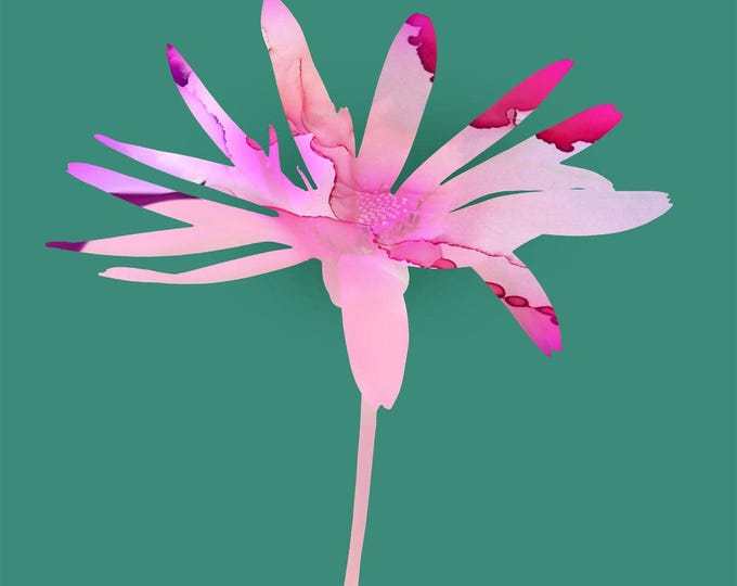 Mint Senetti Floral Wall Art Print: Abstract Pink Daisy Flower Canvas Art