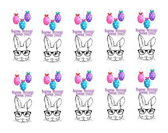 Easter-Easter Labels-Easter Gift Tags-Easter Stickers - Some Bunny Loves You - Bunny Stickers- Easter Tags - Easter Bunny Stickers -Cute