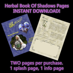 Libro de sombras de hierbas de borraja, información sobre brujería a base de hierbas, correspondencia a base de hierbas, hechizos a base de hierbas, páginas de descarga digital, tamaño A5 y carta de EE. UU.