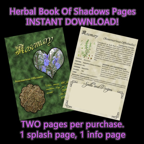 Rosemary Herbal Book Of Shadows Pages,Herbal Witchcraft Correspondences,Witchy planner Pages,Digital Download Printable,A5 & US Letter Sizes