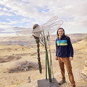Made to Order Outdoor Metal Dragonfly Sculpture Custom Made By Jacob Novinger