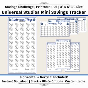 Theme Park Trip Savings Challenge | A6 Budget Binder Insert (Digital Download)