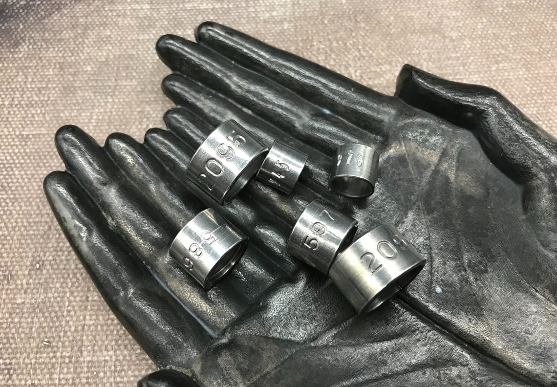 6 stamped metal bird bands 2 each of 3 sizes aluminum bird Etsy