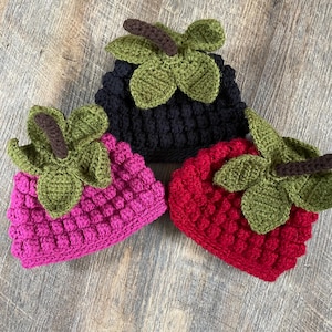 Adult Raspberry or Blackberry Hat - Teen, Woman, Man - Black, Pink, Red - Fruit, Berry, Harvest