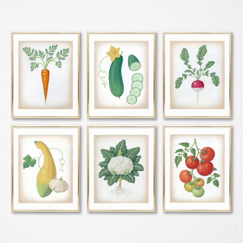Set Of 6 Art Prints 8x10 Vegetable Botanical Image 0