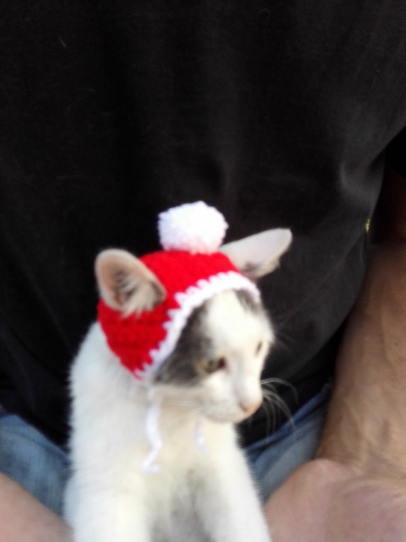 Christmas Hat for Cat Gift for Cat Rainbow Cat Hat cat hat Crochet Pet Hat Hat Cat Cat Lover Gift crochet Cat Hat Christmas Cat Hat