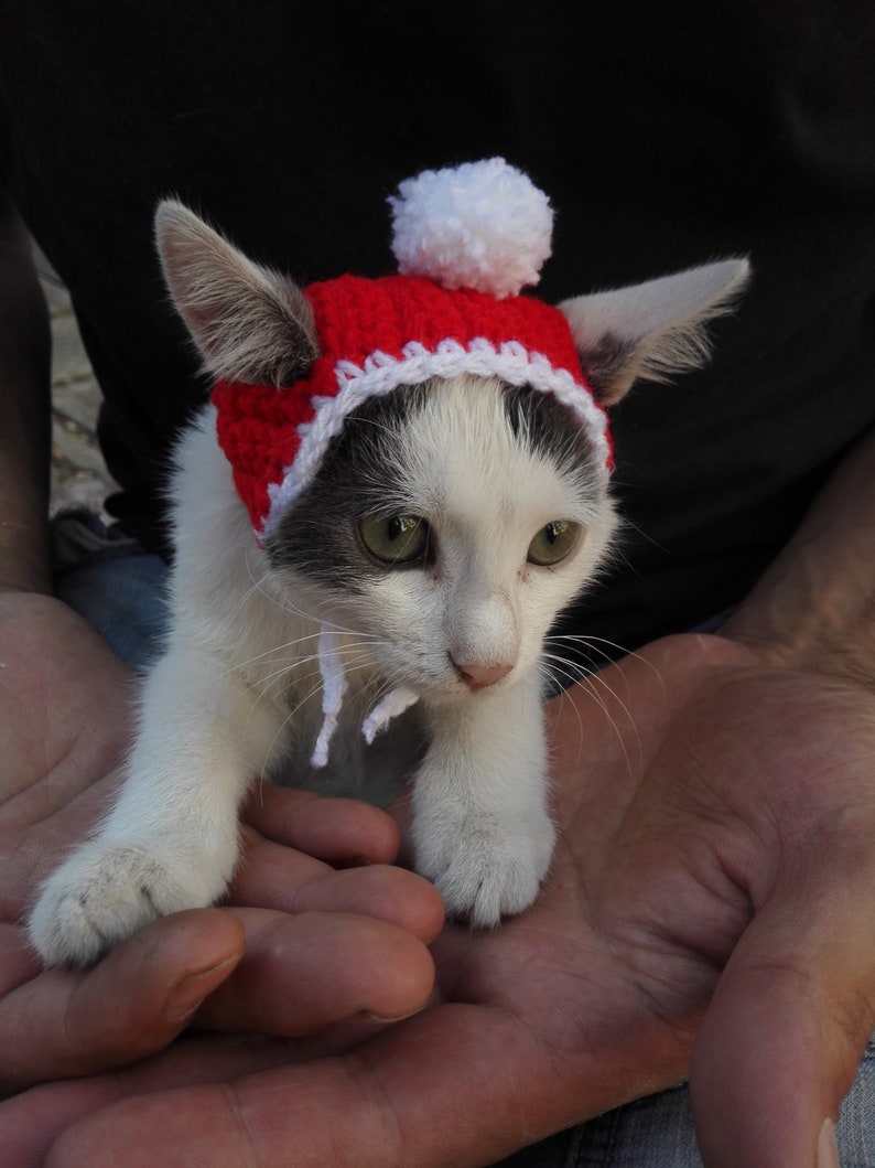 Christmas Hat for Cat Gift for Cat Rainbow Cat Hat cat hat Crochet Pet Hat Hat Cat Cat Lover Gift crochet Cat Hat Christmas Cat Hat