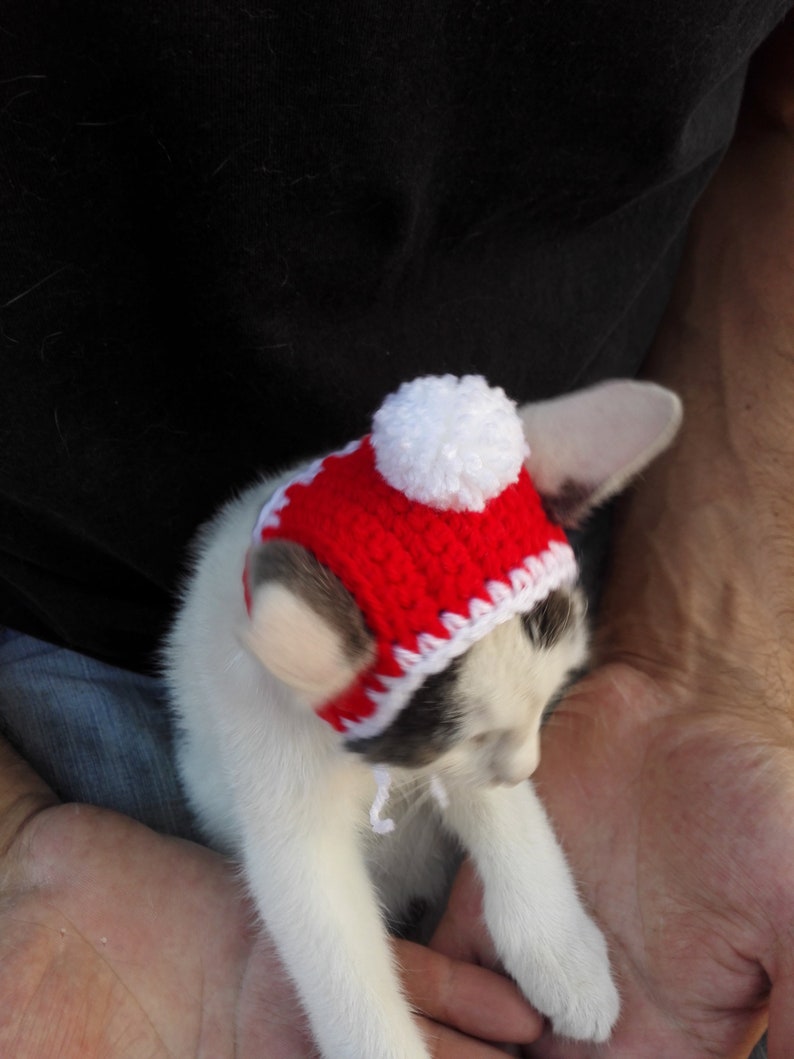 Christmas Hat for Cat Gift for Cat Rainbow Cat Hat cat hat Crochet Pet Hat Hat Cat Cat Lover Gift crochet Cat Hat Christmas Cat Hat