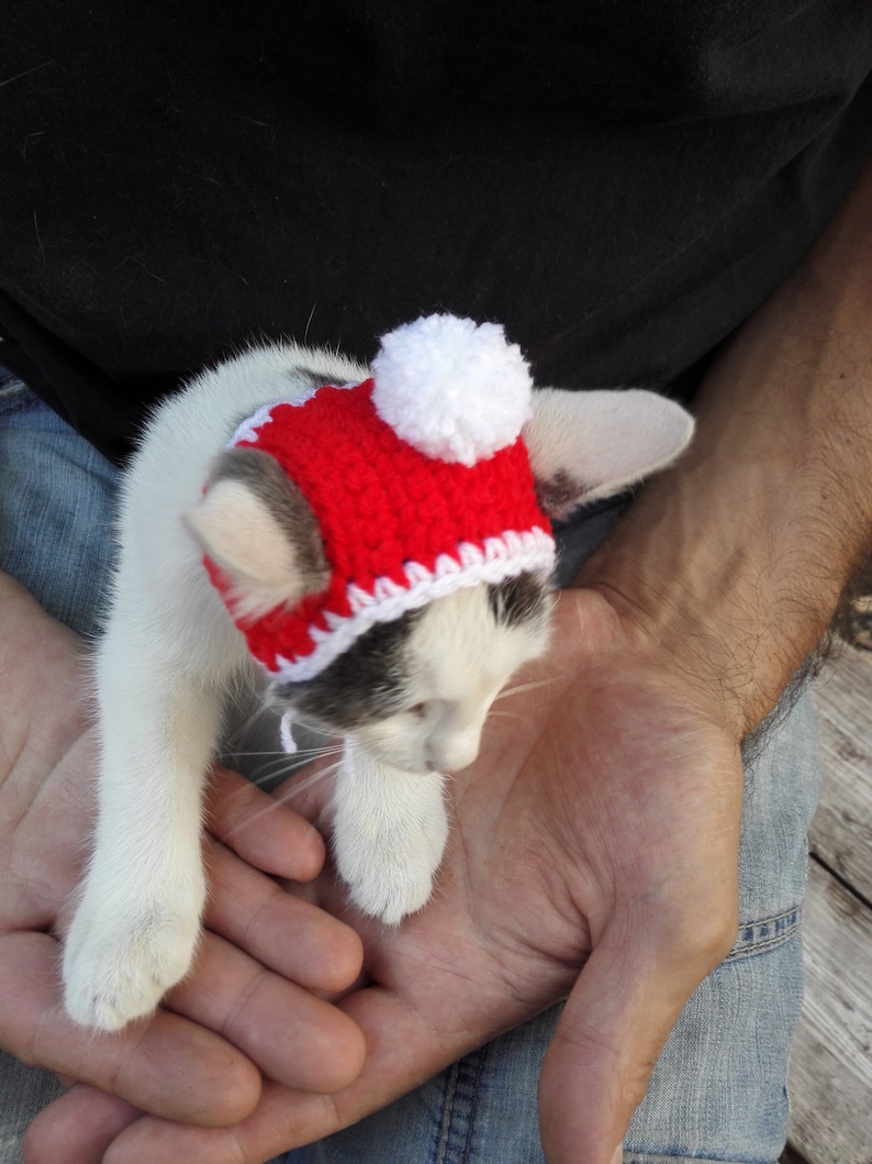 Christmas Hat for Cat Gift for Cat Rainbow Cat Hat cat hat Crochet Pet Hat Hat Cat Cat Lover Gift crochet Cat Hat Christmas Cat Hat