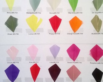 Feather/Sinamay Swatch Chart
